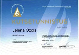 Свидетельство о квалификации Jelena Ozols TAM-0105